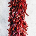 New Mexico Red Chile Art