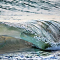 Sea Turtles In The Waves