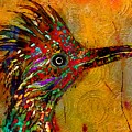  Enchanted Greater Roadrunner
